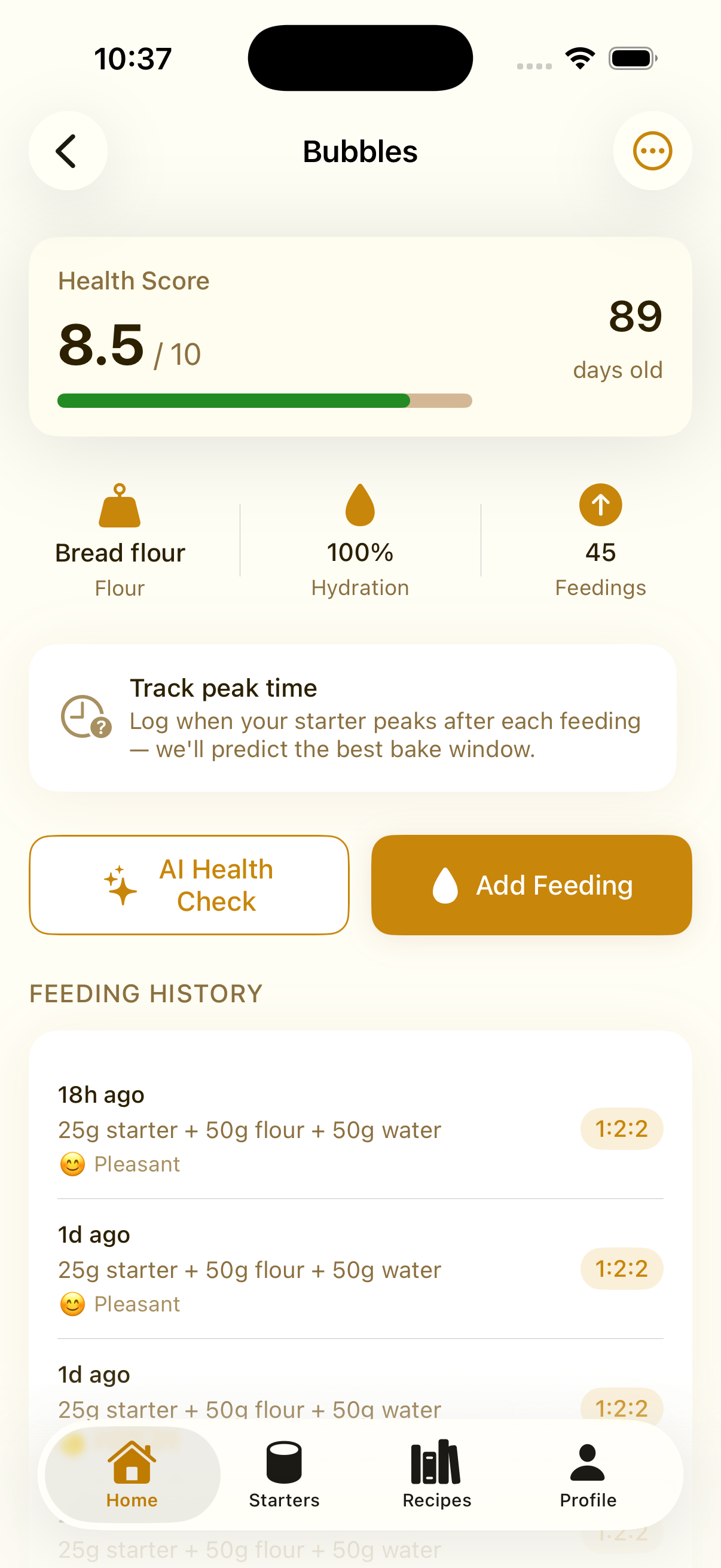 SourdoughPro 2